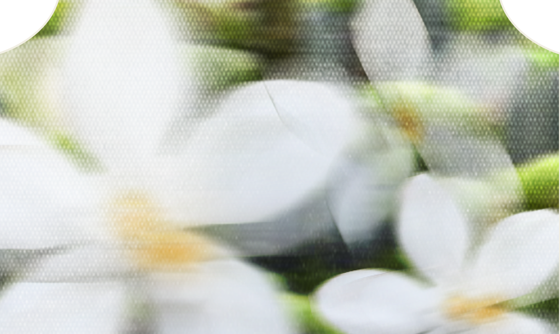 PLOT TWIST eau de parfum — middle notes
